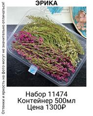 05b6d6007c3343cfb8b821b4fdd4bfee