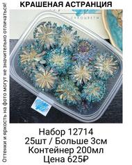 11cc2f7652884310b329a27f5f4f89e1