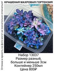 13ef4b0aee2a451487065e97a5017dd1