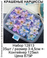 14d533626a724017a5866357468b52e2