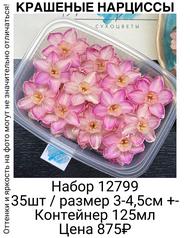 174f515467c5487d87f65ff54610571e