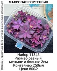 195c662d588740c887b8ef0fa8b16abc