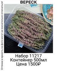 2d9efab838224926911a5e8cd4db347d