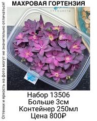 2f912d460eb8447b81b7cb1a298c986c