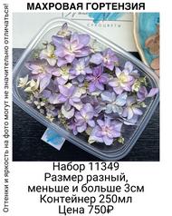 30d1e56488264d938fc3f6d82e110e40