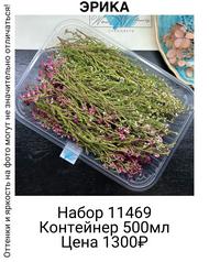 4f1c3f0bbe20444c81aa86cc33caa221