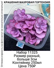 507c09fb78c4456eab8cf699222fd401