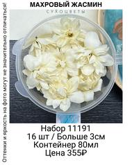 50b54f4c82ca4b0c898a002beb86d574