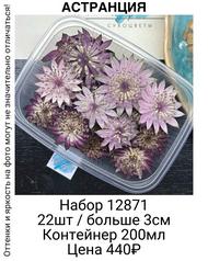 56b52caa14c34c55be79bf59979731e4