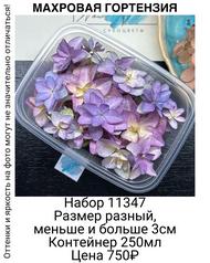 59034ee38d5b4a089835ec8d999ec646