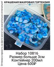 61176be9266e4e0a831688ca02ad571d