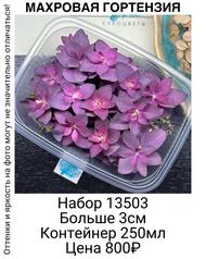 6135e8742e884312933f137c17aaa2ec