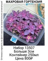 6a7ec314284547f48c47877bc149081b