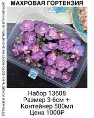 7066bbef7d0742ca9842cb0c39d42c46
