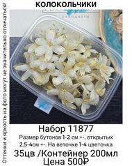 887f56f6d1a64cc983ea46b351cc8647