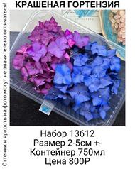 909b774160b64d8a89a4089be5aba483