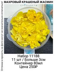 910ac00280ad42c0928631fce62c9e91