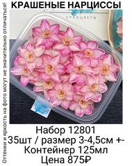 911a35d4d2914fbbb7250b07157c0509