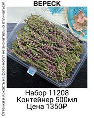 a6492ff2d16b4804aaaaaaf9d18f58e3