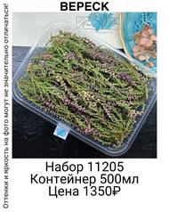 a834ce1ad4a24867bcd01004d2b1bad4