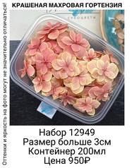 bfe3bb2fc0ac4a2e8e2c902ec3e1e33d