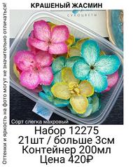 ca49110209b948c3a059fe925d7fe7b8