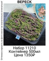 cc3aae3f9bc742a782e21ac59e9744ad