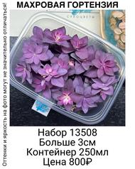 d5ff028f62014ad1bed872a6eb338ea2