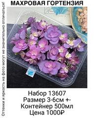 d79e3f9b748b405fafef01ea6feb4ad7
