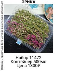 e2262a7da551443090f73740a1d186ad