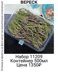 e3e6ae2d3c324ddd85c169b1529f508e