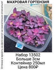 f0ac96091d7346688c5f60101dbdc772