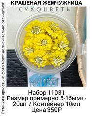 0378f494a3e441018ab8d428285d8099