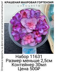 03f44f5fbba2406e8c46467e89323ae2