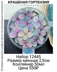 077c65fc91804202a14b8aa4acdbc755