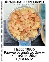 08742c51654a42dca9427d9b0c278abc