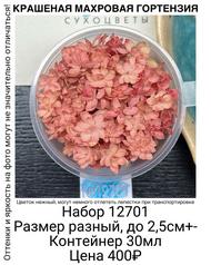 08ceda2dee514a7b98519751fd581ae2