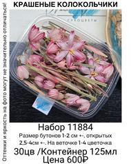 0b2d737e042a4f9794a9ee58df036cda