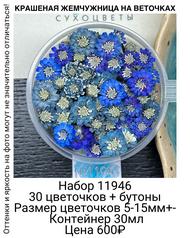 0cce398767df4d2b910e5b456725e13b