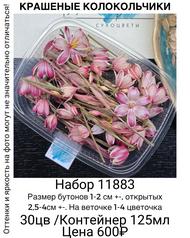 116316a45c174531ab5f9c30d68ee5bf