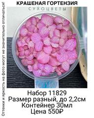 170d9a0472d64ec1b8c2c287a6975e08