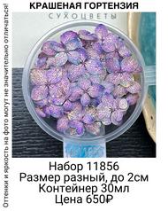 1dff3d4a58224928b348a6a34d4cf548