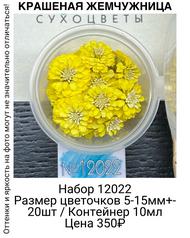 1ff71cde477844988a8bf1959406c586