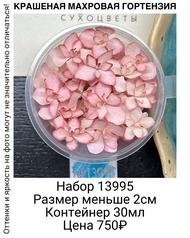 213deecf0c30439fba8504e699889da7