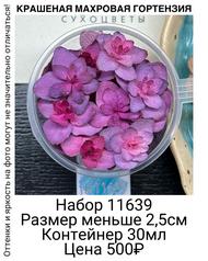 215868e05414408e902aeff954c1e2ef