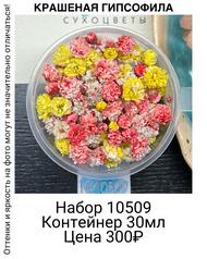 22c3ada8c274423fa2a9ce4551010613