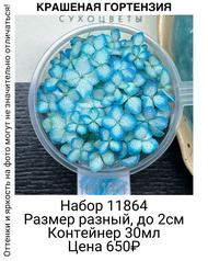 282ec7e9a00d4162a2d2e72595fd9246