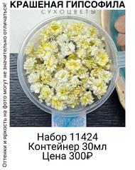 2856f306cc524d58b5667e633876903d