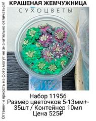 2b6903ead7224204b2ff11a6a58e611c