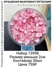 2ba101717b664a53a542946b044c6eb2